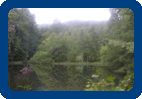 Clinch Mountain