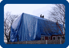 Frost - Whole House